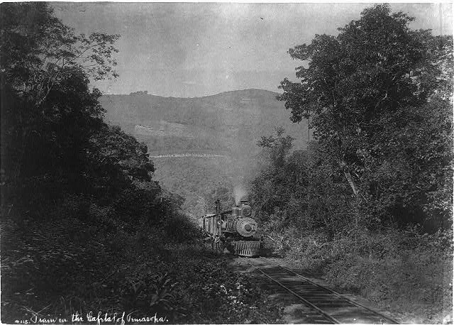Treain in the Cafetal fo Temasopa, 1884