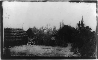Straw cottage at Ixtacalco, 1884