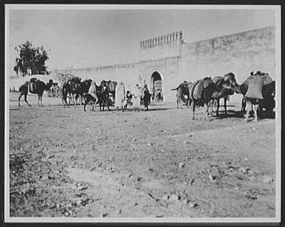 Tunis - Bab el-allouch, the Susa Gate, Tunisia, Tunis, 1894