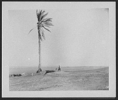 Ani-Musa - the Well of Moses in the Sinai desert 8 miles south of Suez, Egypt, 1894