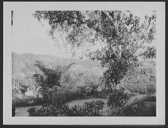 Kandy viewed from above, Sri Lanka, Kandy, 1895