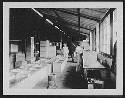 Maria Watta tea factory scene - soldering and packing the boxes, Sri Lanka, 1895