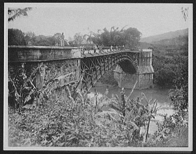 WTC [i.e. World Transportation Commission] and natives on Satinwood…, Sri Lanka, Peradeniya, 1895