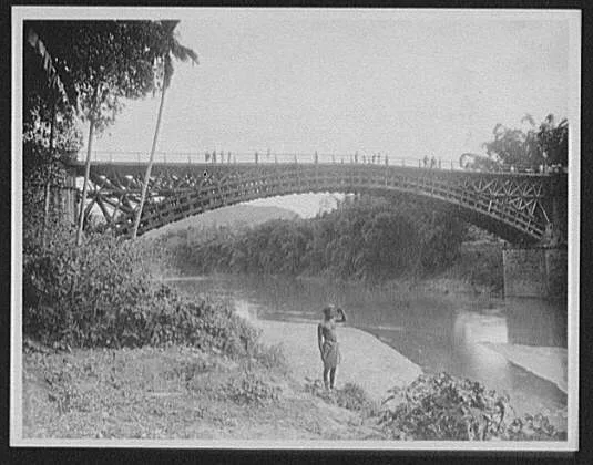WTC [i.e. World Transportation Commission] and native on Satinwood…, Sri Lanka, Peradeniya, 1895