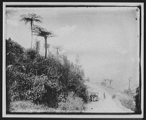 On the East Bengal Railway looking toward Himalayas, India, Himalaya Mountains, 1895