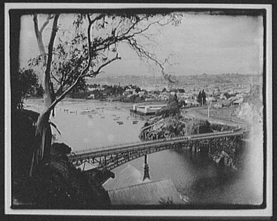 View from Cascade Gorge toward river bridge and Launceston, Tasmania, Launceston, 1895