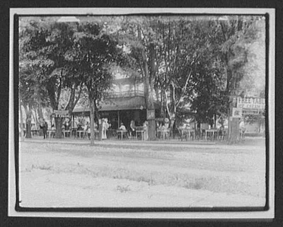 Outdoor cafe scene, New Zealand, 1895