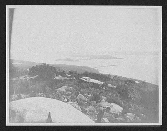 Distant view of coastal town from mountain, New Zealand, 1895