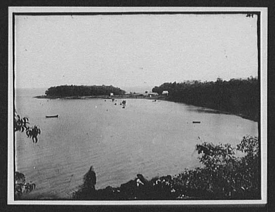 Birds-eye view of coastal inlet, New Zealand, 1895