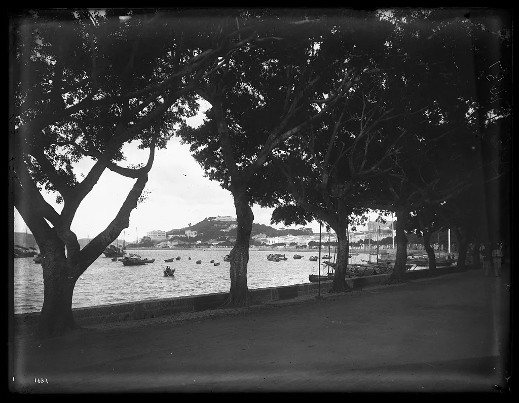 View of harbor from tree-lined boulevard, the Praya Grande, Macao, 1895