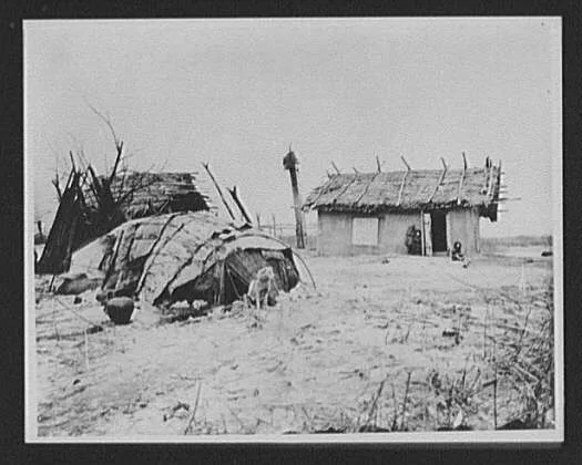 Goldi village on the Amur, north of Khabarovsk; dog tied in foreground, Russia, Amur River, China, 1895