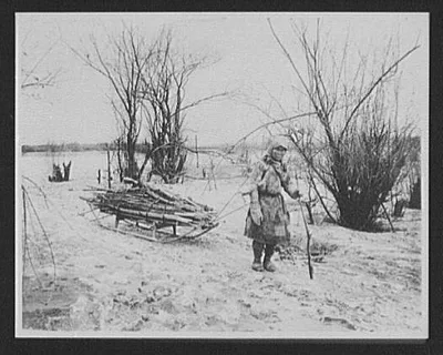 Goldes woman pulling firewood sledge, Russia, 1895