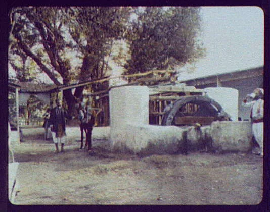 Tunis - an old water-wheel in the suburbs of Tunis, Tunis, Tunisia, 1894