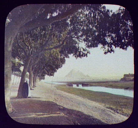 Avenue of acacia trees leading from Cairo to the Pyramids, Egypt, 1894