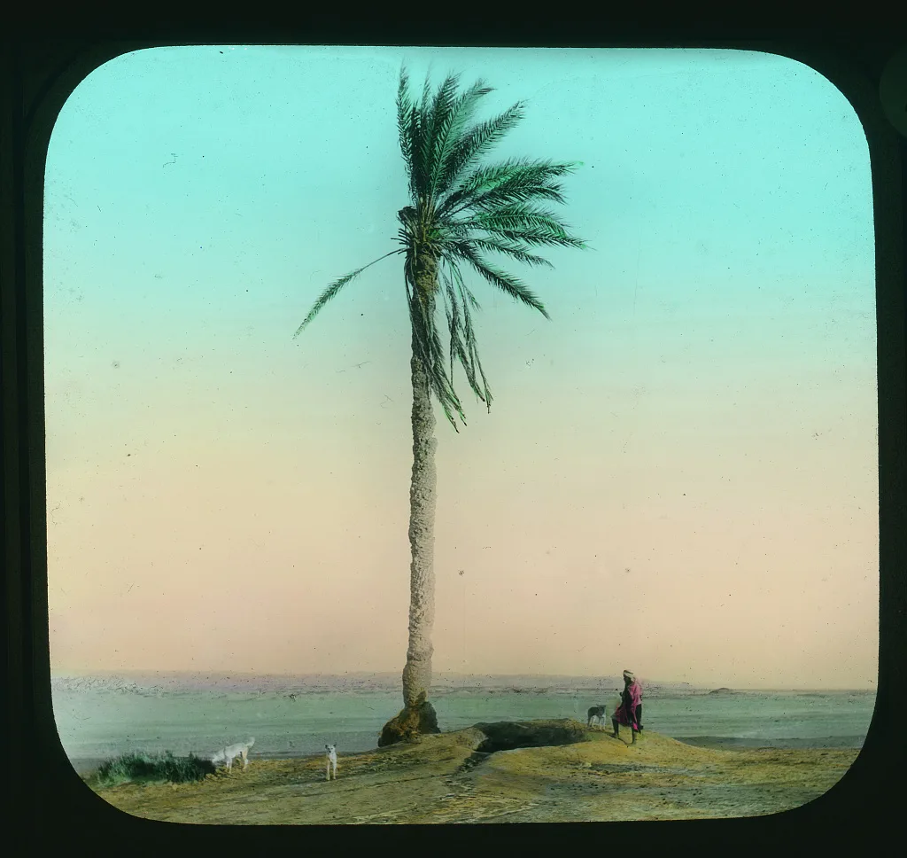 Ani-Musa - the Well of Moses in the Sinai desert 8 miles south of Sue, Egypt, 1894