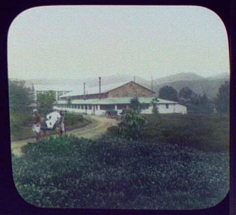Planter in ricksha in front of Maria Watta tea factory near Gampola, Sri Lanka, Gampola, 1895