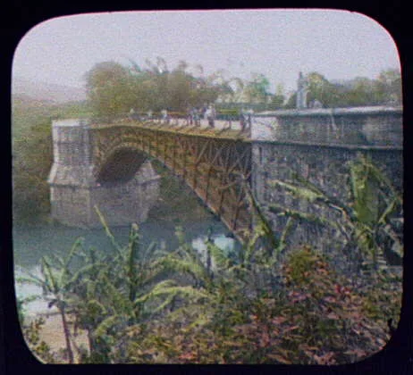 WTC [i.e. World Transportation Commission] and natives on Satinwood…, Sri Lanka, Peradeniya, 1895