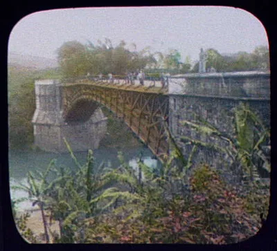 WTC [i.e. World Transportation Commission] and natives on Satinwood…, Sri Lanka, Peradeniya, 1895