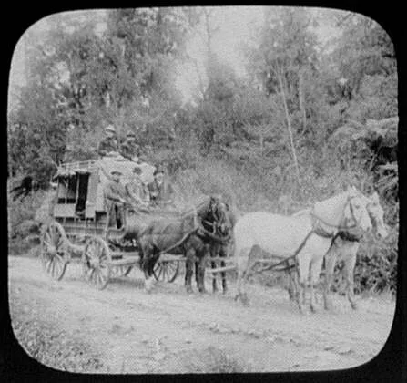 WTC [i.e. World Transportation Commission] on stage coach in the bush…, New Zealand, 1895