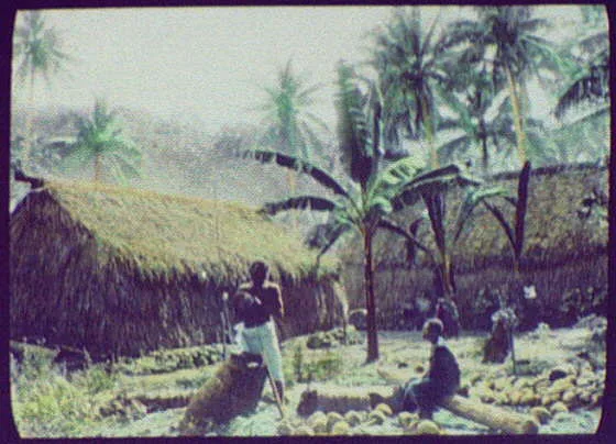 Natives in front of thatch-roofed buildings, Fiji, 1895