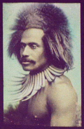 A man of Fiji, head and shoulders profile, Oceania, 1895