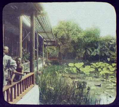 Water garden, China, 1895