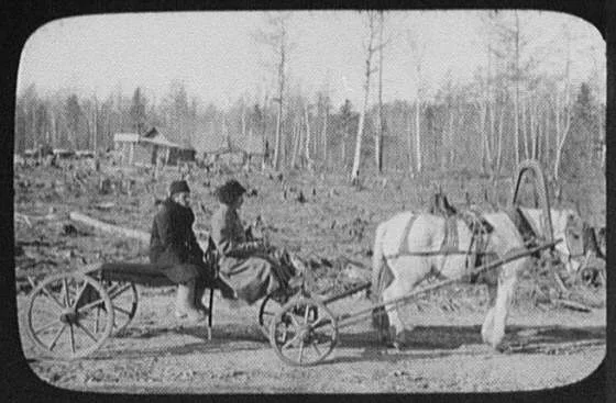 Horse-drawn wagon (Bayunka) in a clearing of the Eastern Siberian…, 1895