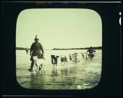 Goldi men with dog sled on Amur River, Russia, Amur River, China, 1895