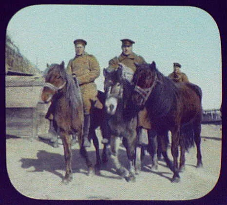 Khabarovsk - three Cossack soldiers and ponies, Russia, Khabarovsk, 1895