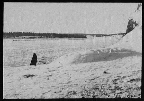 Bactrian camels of a military caravan on the Amur River, distant view, China, Amur River, Russia, 1896