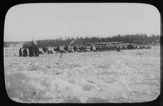 Bactrian camel caravan on the Amur, China, Amur River, Russia, 1896