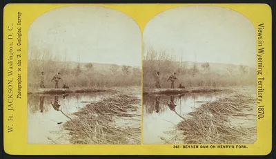 Photograph from 1870: Beaver dam on Henry's Fork