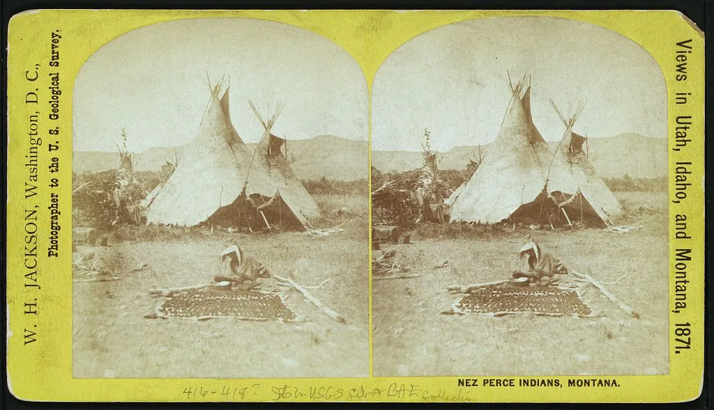 Nez Perce Indians, Montana, 1871
