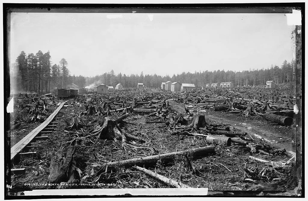 Birth of a city, Davis, W. Va. in 1885, The, West Virginia