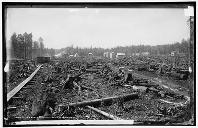 Photograph from West Virginia: Birth of a city, Davis, W. Va. in 1885, The