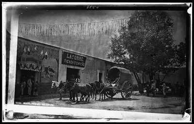 Mexico, pulqueria and carreta, Mexico City, Mexico, 1880