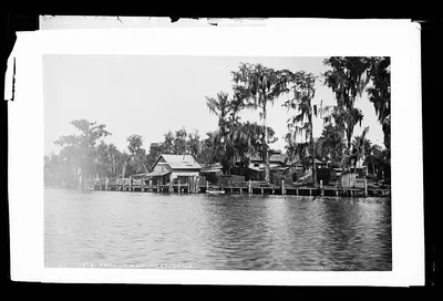 Satsuma on the St. Johns, Florida, 1880