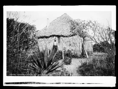Tha[t]ched cottage at Barker's, Florida, 1880