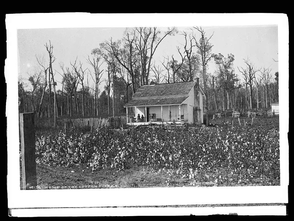 Home of the cotton picker, 1880