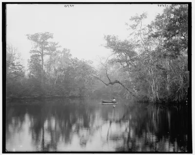[Deep Creek studies], Florida, 1880