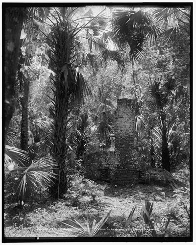Chimneys, Ormond hammock, The, Florida, 1880