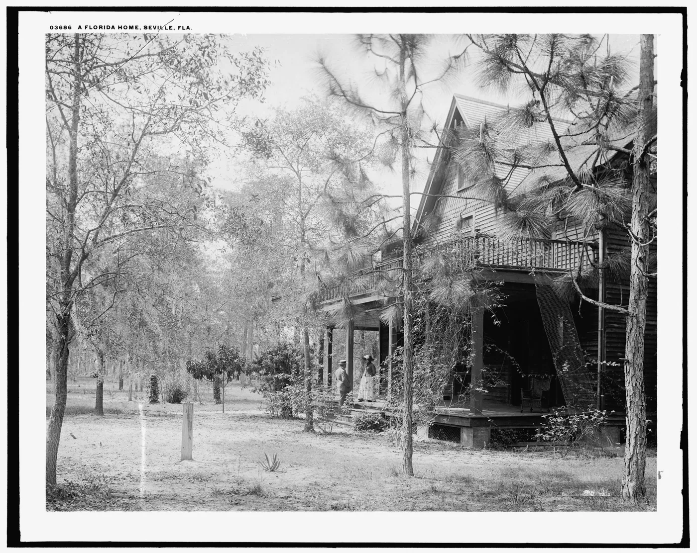 Florida home, Seville, Fla., A, 1880
