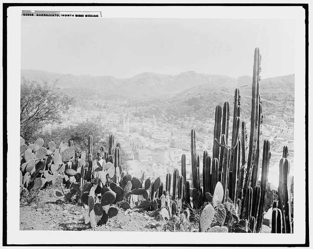 Guanajuato (north side), Mexico, Mexico, Guanajuato, 1880
