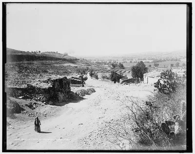 Valley of Mexico so[uth] from Barrientos, Mexico, Barrientos, Queretaro, Mexico, 1880