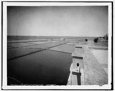 Salt vats from the store house, Mexico, 1880