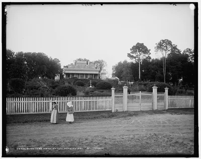 Planter's home on the Mississippi, 1880