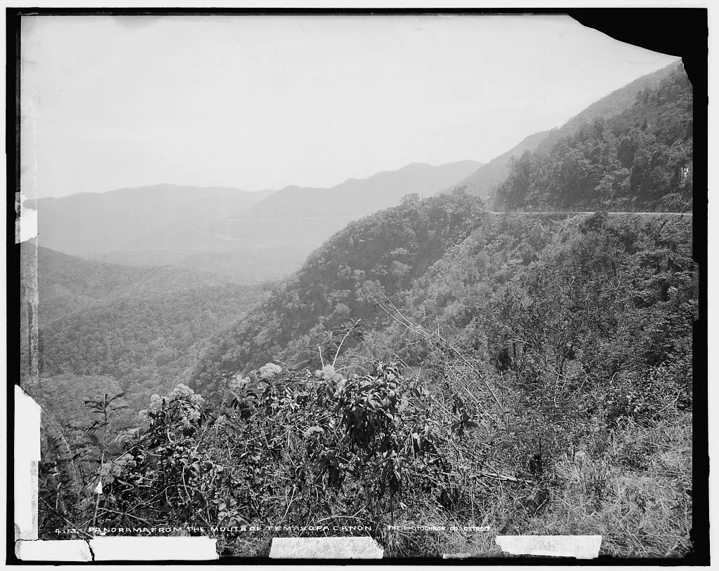 Panorama from the mouth of Temasopa [sic] Canon, Mexico, Tamasopo River, 1880