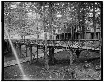 Rustic bridge, Chautauqua, New York (State), 1880