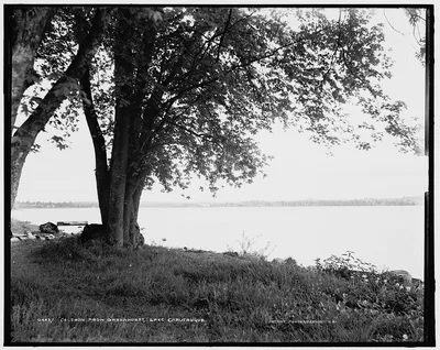 Celeron [i.e. Celoron] from Greenhurst, Lake Chautauqua, New York (State), 1880