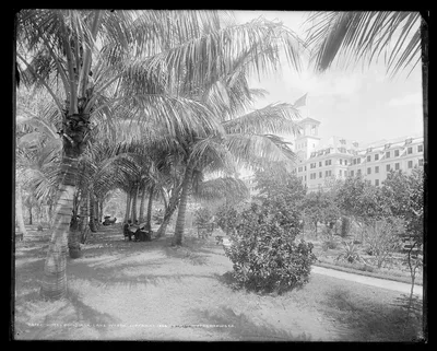 Hotel [Royal] Poinciana, Lake Worth, Florida, 1894